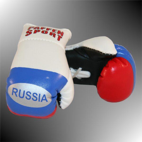 Nationale Mini-Boxhandschuhe von Paffen Sport-2